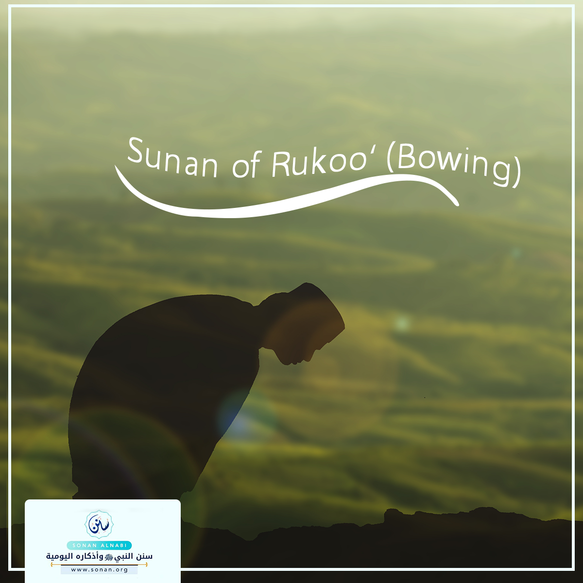 Sunan of Rukoo‘ (Bowing)