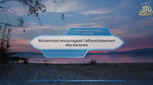 Muhammad encourageait l’affranchissement des esclaves