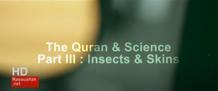 Quran & Science Part III Insects & Skins