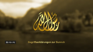 Begriffserklärungen zur Sunnah