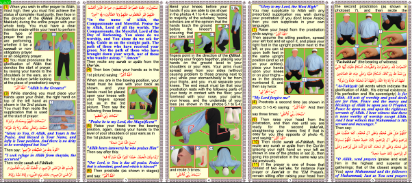 description of the prophet prayer (2-2)