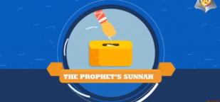 How did the Sunnah reach us?