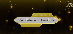 Purification and cleanliness