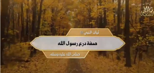 ثياب النبي ﷺ: صفة درع رسول الله